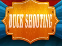 https://www.fvhl.cn/game/duckshooting