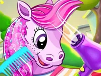 https://www.fvhl.cn/game/pony-pet-salon