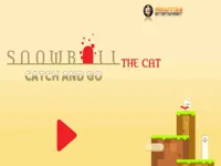 https://www.fvhl.cn/game/snowball-the-cat-catch-and-go