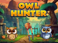 https://www.fvhl.cn/game/owl-hunter