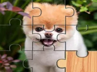 https://www.fvhl.cn/game/cute-dogs-jigsaw-puzlle