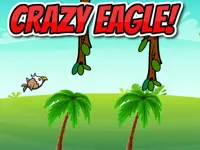 https://www.fvhl.cn/game/crazy-eagle