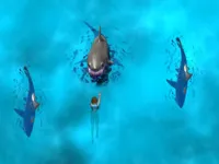 https://www.fvhl.cn/game/avoid-the-sharks