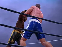 https://www.fvhl.cn/game/ultimate-boxing