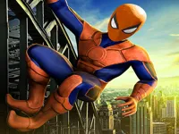 https://www.fvhl.cn/game/spiderman-skate-3d