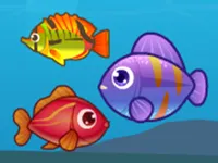 https://www.fvhl.cn/game/big-fish-eat-small-fish-2
