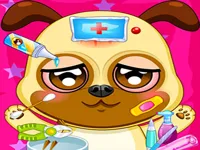 https://www.fvhl.cn/game/kids-animal-doctor
