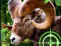 https://www.fvhl.cn/game/crazy-goat-hunter-2020