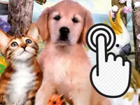 https://www.fvhl.cn/game/pets-clicker