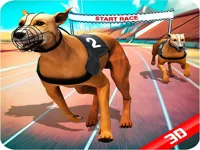 https://www.fvhl.cn/game/crazy-dog-race