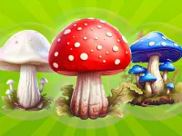 https://www.fvhl.cn/game/mergemushrooms-2048