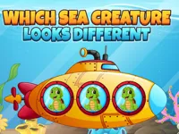 https://www.fvhl.cn/game/which-sea-creature-looks-different