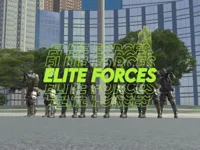 https://www.fvhl.cn/game/elite-forces