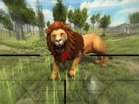 https://www.fvhl.cn/game/lion-hunting-3d