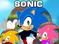 https://www.fvhl.cn/game/sonic-dress-up