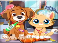 https://www.fvhl.cn/game/puppy-pet-vet-care
