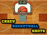 https://www.fvhl.cn/game/crazy-basketball-shots