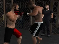 https://www.fvhl.cn/game/undisputed-mma