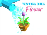 https://www.fvhl.cn/game/water-the-flower