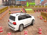 https://www.fvhl.cn/game/prado-parking-games-car-park