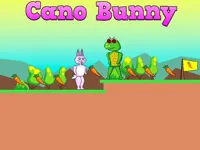 https://www.fvhl.cn/game/cano-bunny