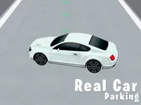 https://www.fvhl.cn/game/real-car-parking-3d